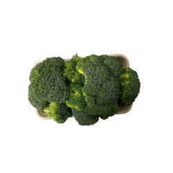 CHOUX BROCOLIS 500 G PP