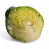 CHOUX VERT FRISE PP