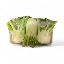 FENOUIL BARQUETTE PP