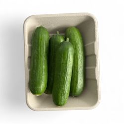 CONCOMBRE MINI BARQ PP