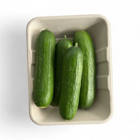 CONCOMBRE MINI BARQ PP