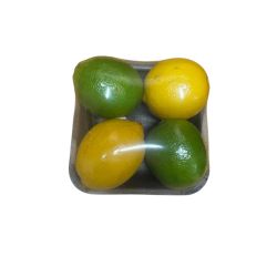 CITRON MIXTE BARQ X 4 PP JAUNE ET VERT