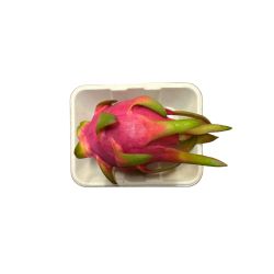 PITAYA ROSE PP X 1P
