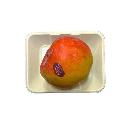 MANGUE AVION BARQUETTE X 1P