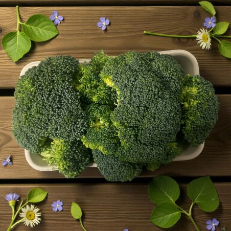 CHOUX BROCOLIS 500 G PP