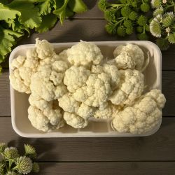 CHOUX FLEUR X 500 PP