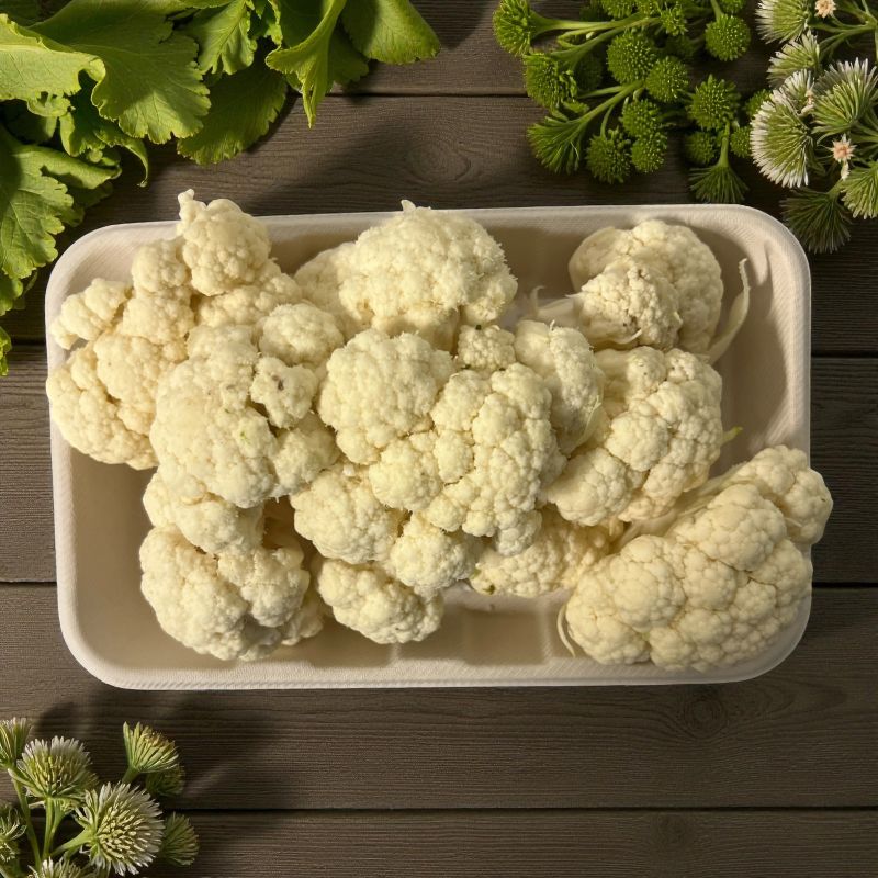 CHOUX FLEUR X 500 PP