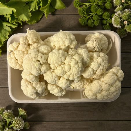 CHOUX FLEUR X 500 PP