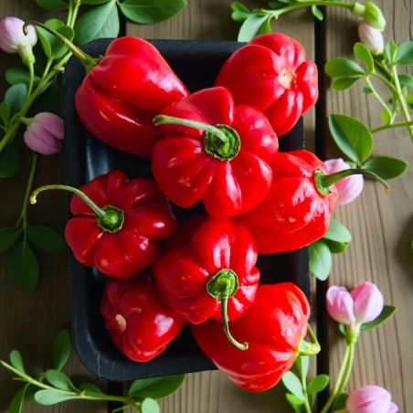 PIMENTS ANTILLAIS BARQUETTE PP X 100 GR