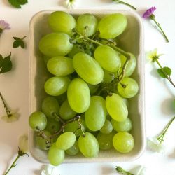 RAISIN BLANC ITALIA BARQUETTE 500 G PP