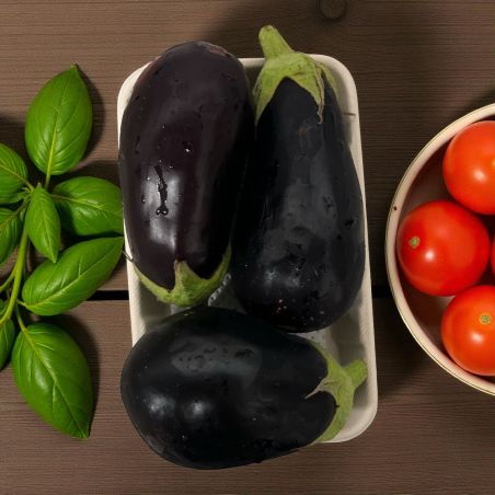 AUBERGINE BARQUETTE PP