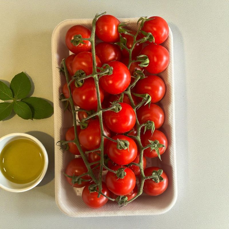 TOMATES CERISE GRAPPE BARQUETTE 500GR PP