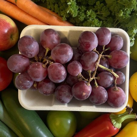 RAISIN RED GLOBE BARQUETTE PP