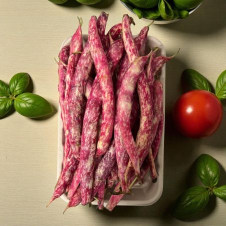 HARICOTS COCO ROUGE 500GR IT PP