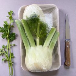 FENOUIL BARQUETTE PP