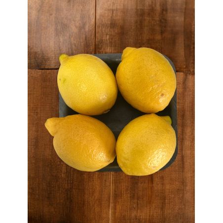 CITRON JAUNE PETIT X4 BARQUETTE