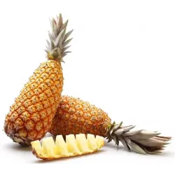 ANANAS AVION PAIN DE SUCRE