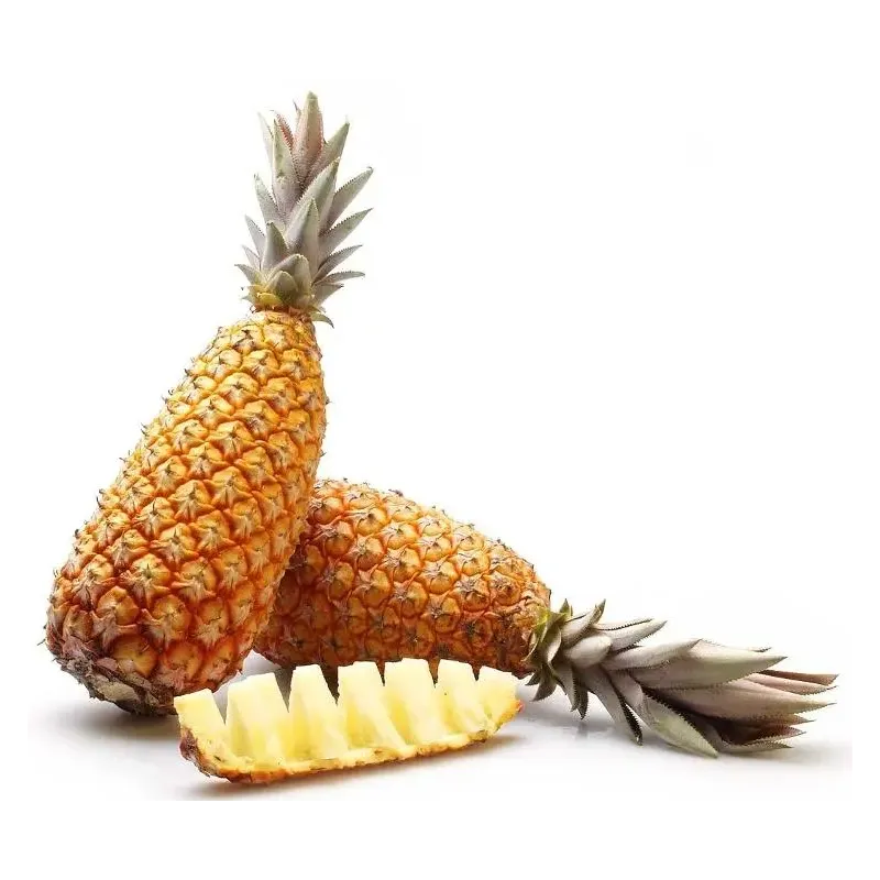ANANAS AVION PAIN DE SUCRE