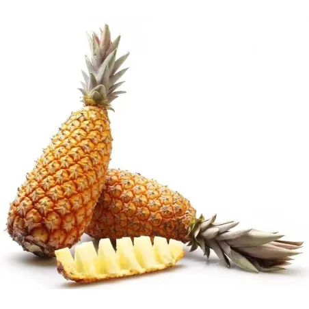 ANANAS AVION PAIN DE SUCRE