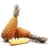 ANANAS AVION PAIN DE SUCRE