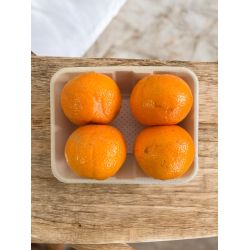CLEMENTINES ORRI BARQ 4 FRUITS PP