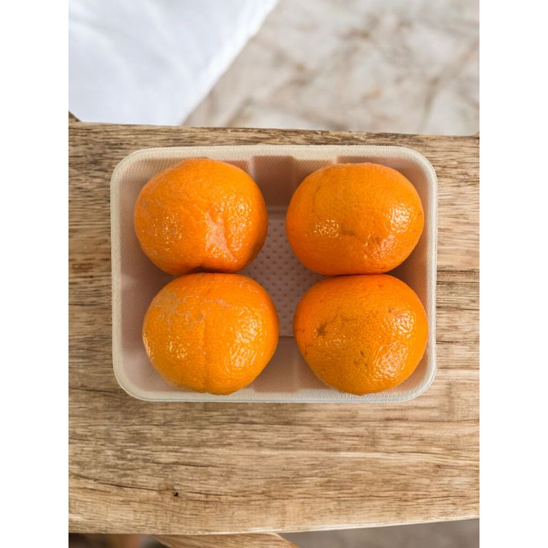 CLEMENTINES ORRI BARQ 4 FRUITS PP