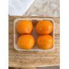 CLEMENTINES ORRI BARQ 4 FRUITS PP